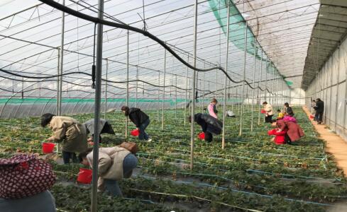 众发国际·(中国区)有限公司官网